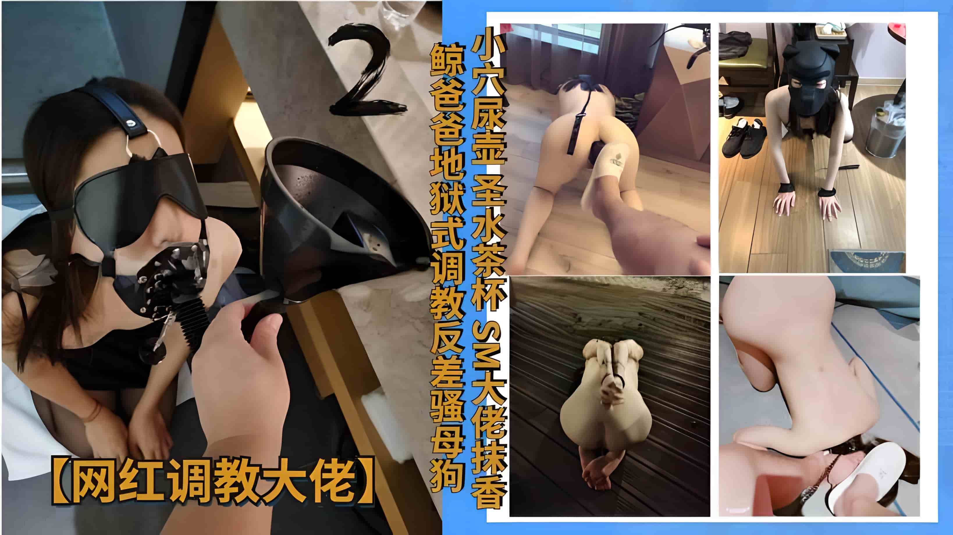 【网红调教大佬】小穴尿壶圣水茶杯!SM大佬抹香鲸爸爸地狱式调教反差骚母狗